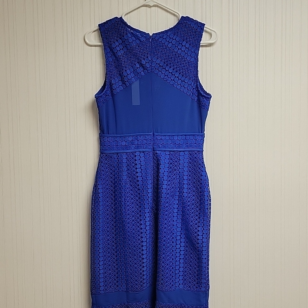 Adelyn Rae Royal Blue Midi Dress Allover Lace Sz Small New summer wedding guest - Picture 5 of 10